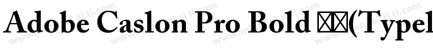 Adobe Caslon Pro Bold 租体(Typel)西方字体转换